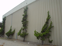 DSC00650.JPG