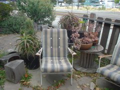 DSC00654.JPG