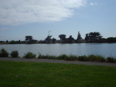 DSC00656.JPG