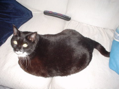 DSC00690.JPG