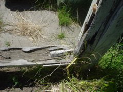 DSC00693.JPG