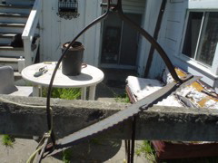 DSC00694.JPG