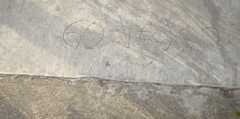 DSC00721.JPG