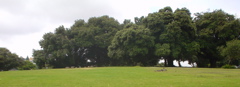 DSC00751.JPG