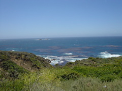 DSC00794.JPG