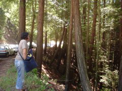 DSC00797.JPG