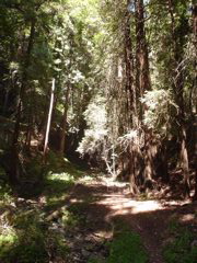 DSC00799.JPG