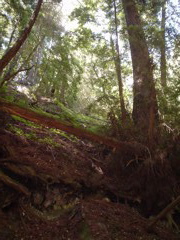 DSC00802.JPG