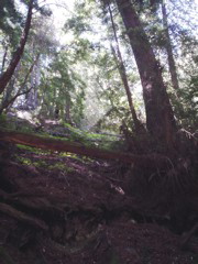 DSC00803.JPG