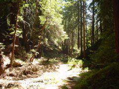 DSC00804.JPG