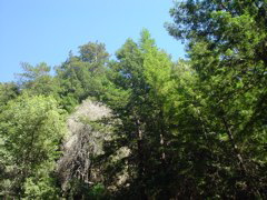 DSC00827.JPG