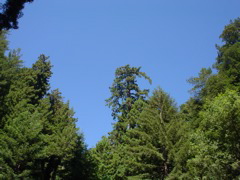 DSC00828.JPG