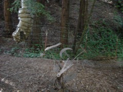 DSC00830.JPG