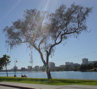 DSC00852.JPG