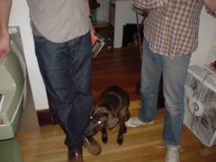 DSC00426.JPG