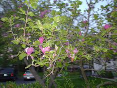 DSC00448.JPG