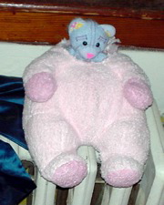 DSC00465.JPG