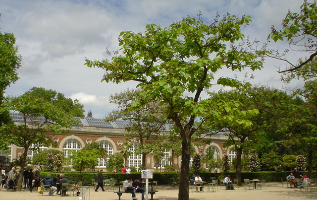 DSC04568.JPG