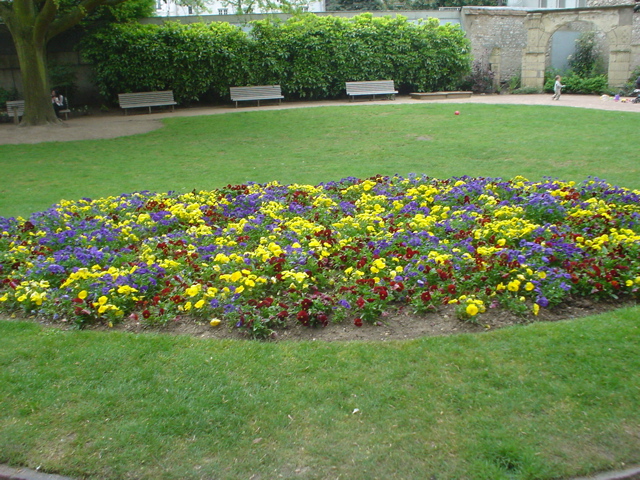 DSC04447.JPG