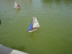 DSC04574.JPG