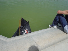 DSC04575.JPG