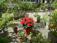 DSC04578.JPG