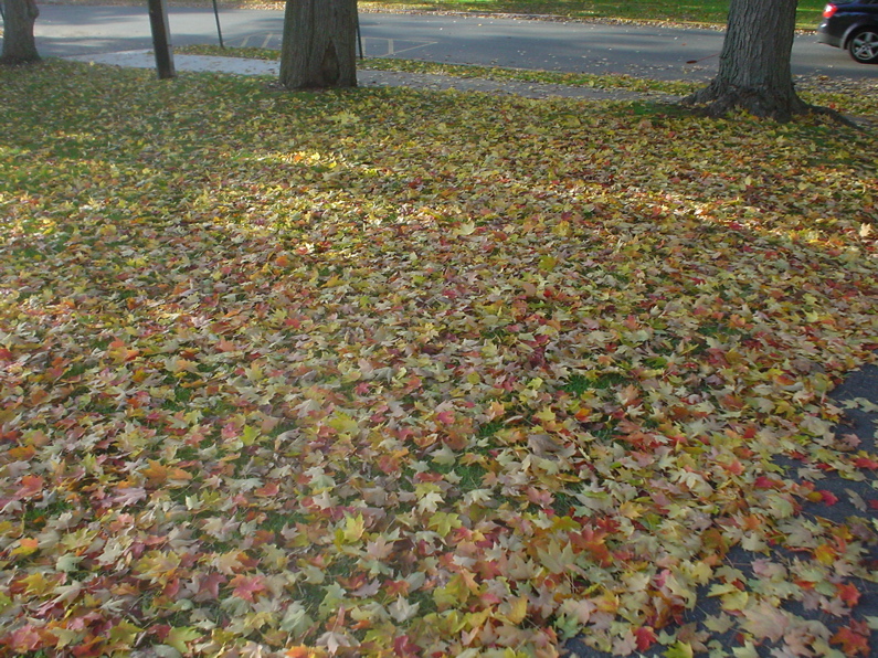 DSC01991.JPG