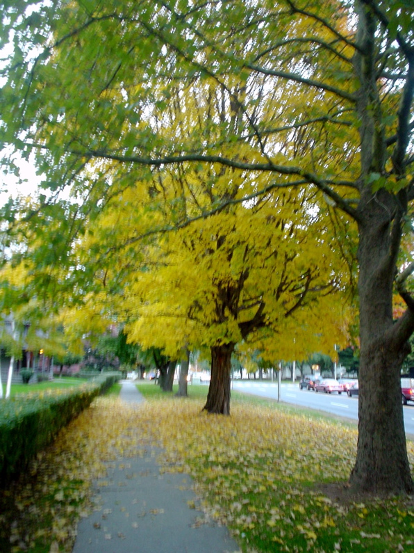 DSC02001.JPG