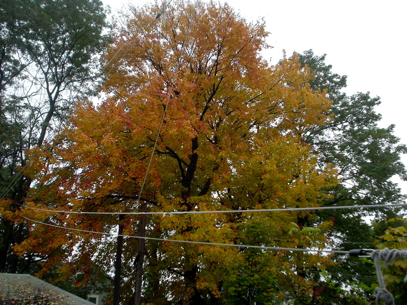 DSC02003.JPG