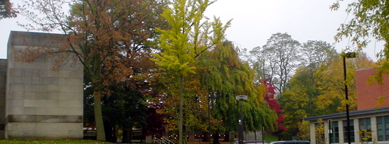DSC02007.JPG