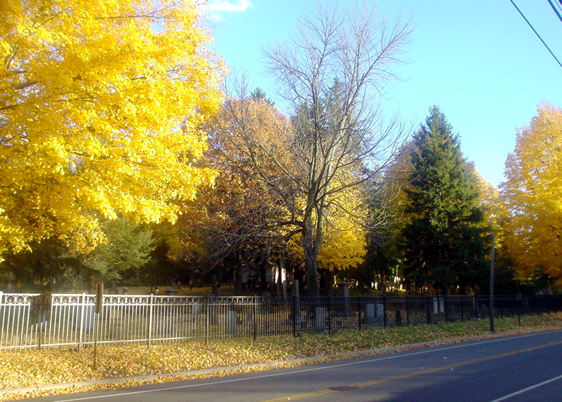 DSC02033.JPG