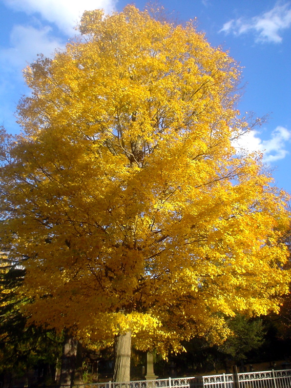 DSC02034.JPG