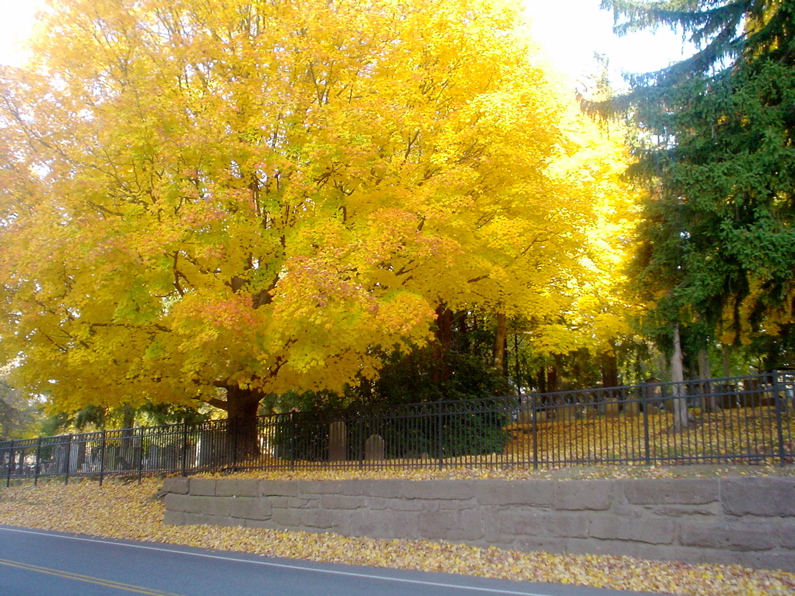 DSC02035.JPG
