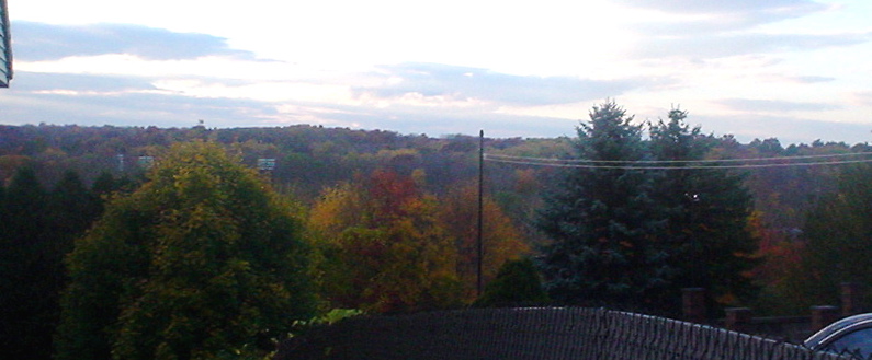 DSC02042.JPG