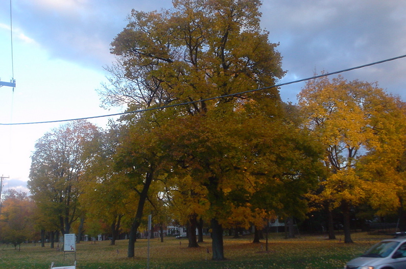 DSC02043.JPG