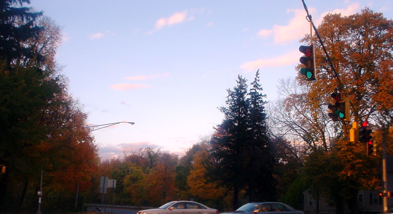 DSC02044.JPG