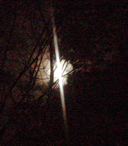 DSC02046.JPG