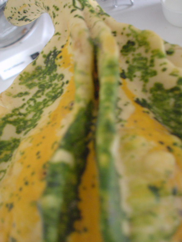 DSC01913.JPG