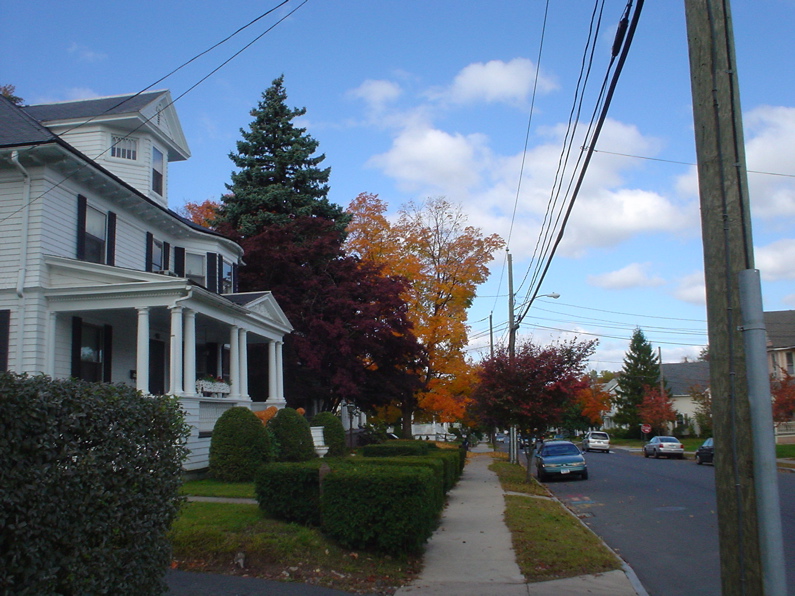 DSC01988.JPG