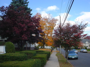 DSC01989.JPG