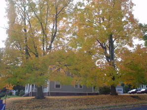 DSC01990.JPG