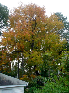 DSC01996.JPG