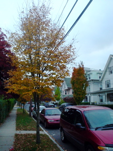 DSC01997.JPG