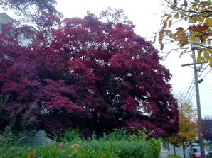 DSC01998.JPG