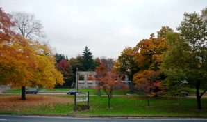 DSC01999.JPG