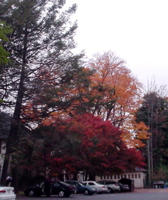 DSC02000.JPG