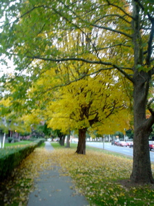 DSC02001.JPG
