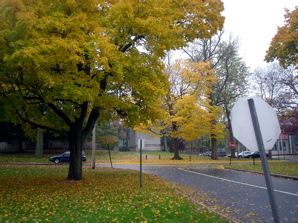 DSC02004.JPG