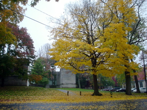 DSC02005.JPG