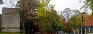 DSC02007.JPG